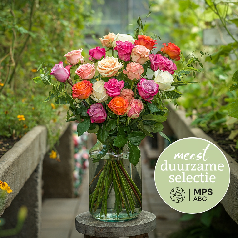 Groen Gekeurd rozen
